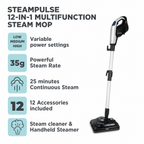 SteamPulse spec sheet showing power settings, steam rate, and accessories
